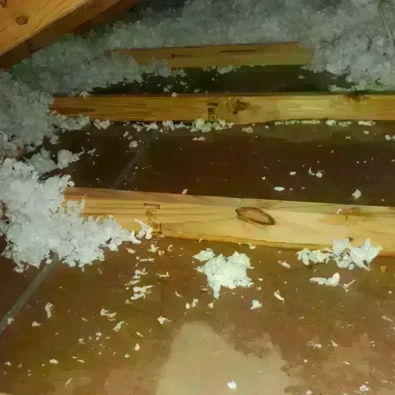 Attic Water Damage in Saint George, SC