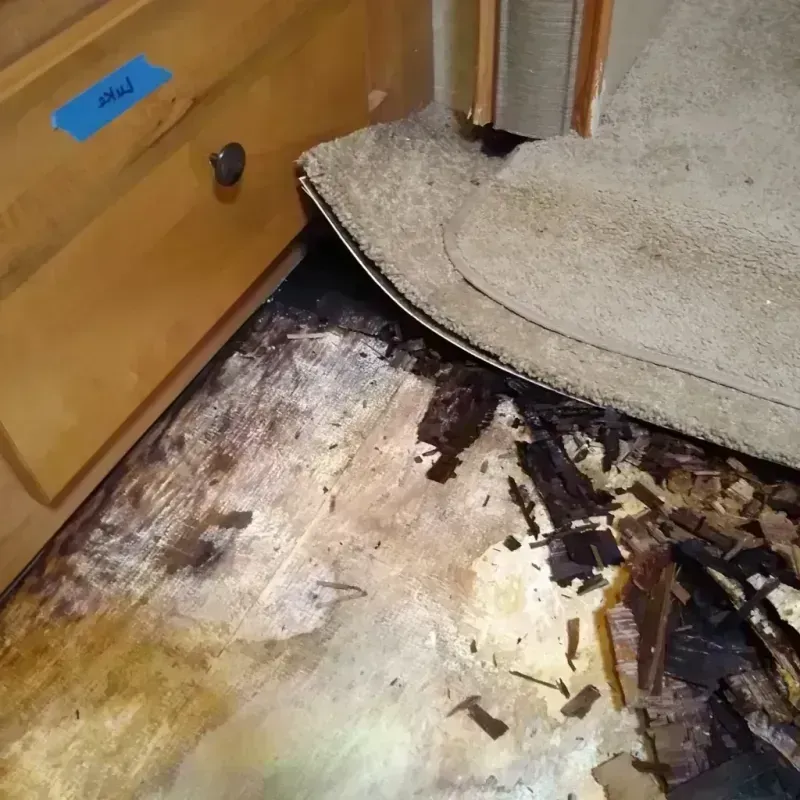 Wood Floor Water Damage in Saint George, SC